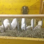 Apartmán Formegg Hopfgarten im Brixental