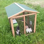 Apartmán Formegg