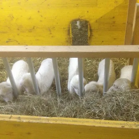 Daire Formegg Hopfgarten im Brixental