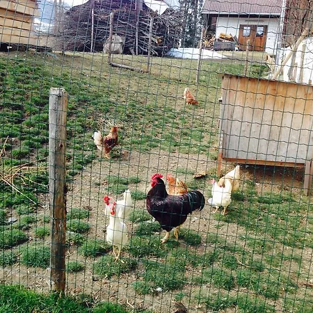 Formegg Appartamento