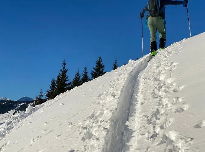 Formegg Apartamento *