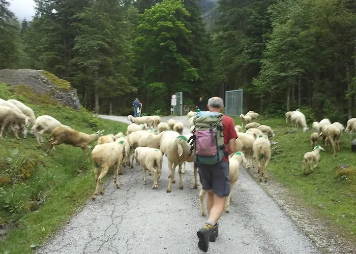 Apartamento Formegg *