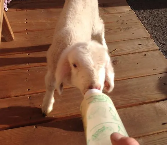 Apartamento Formegg Hopfgarten im Brixental