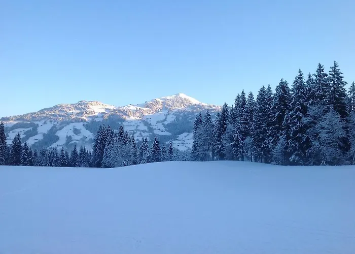 Apartamento Formegg Hopfgarten im Brixental