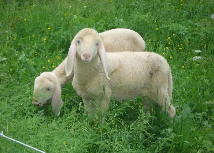Formegg Hopfgarten im Brixental