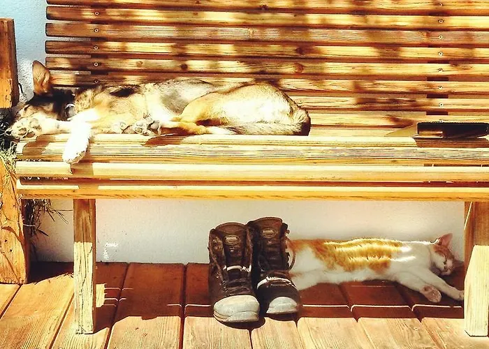 Formegg Apartamento *