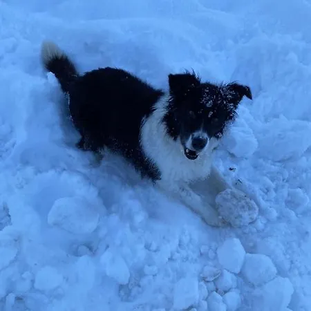 Apartment Formegg Hopfgarten im Brixental