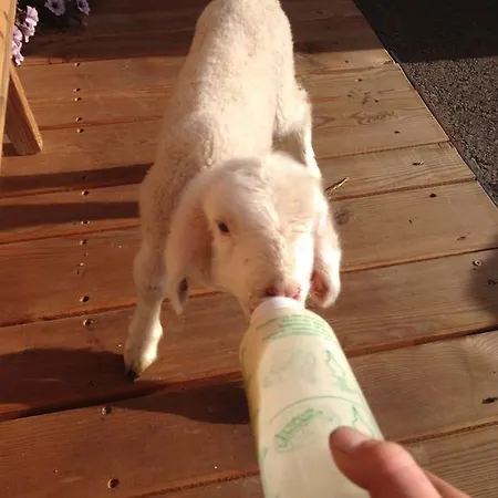 Apartment Formegg Hopfgarten im Brixental